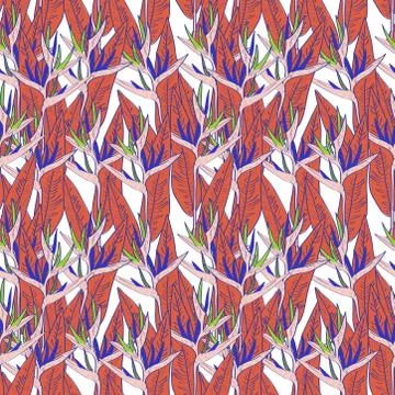 Seamless pattern with strelitzia flowers leaf sketch, black contour purple re Stock Illustration