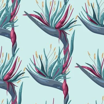 Seamless pattern with Strelitzia reginae flower Stock Illustration