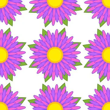 Seamless pattern of striped asters of purple with green leaves on a white bac Stock Illustration
