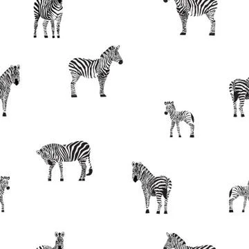 Seamless pattern with striped black and white zebras, flat vector illustration. Illustrazione stock