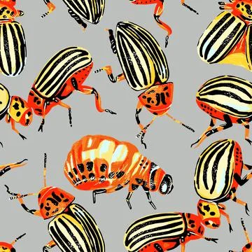 Seamless pattern striped Colorado beetles orange black gray Stock Illustration