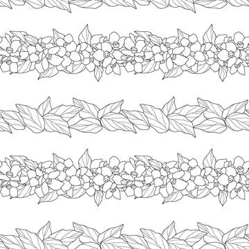 Seamless pattern with strips of leaves and flowers. Outline of plants on white Stock Illustration