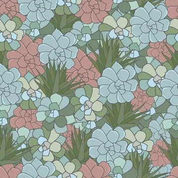 Seamless pattern of succulent cactus, hand drawn colourful plant. Stock Illustration