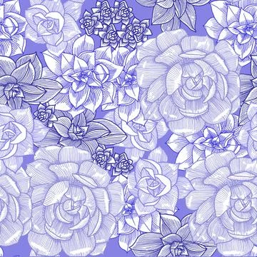 Seamless pattern with succulent. Graphics. Hand drawn. Illustrazione stock