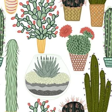 Seamless pattern with succulent plants and cactuses in pots Stock Illustration
