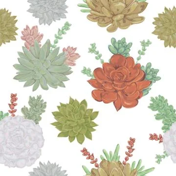 Seamless pattern with succulents set. Stock Illustration
