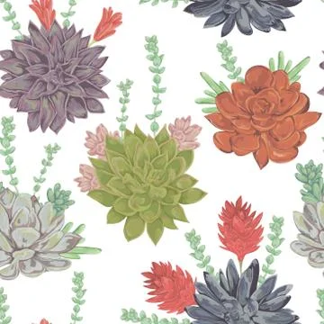 Seamless pattern with succulents set. Stock Illustration
