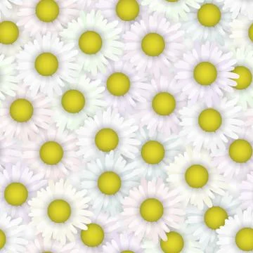 Seamless pattern with summer chamomile. Floral garden. Tissue white color. Stock Illustration