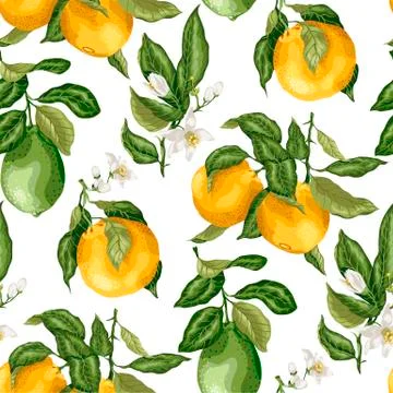 SEamless pattern summer citrus fruit branches of lime and orange tree with fl Stock Illustration