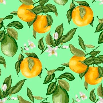 SEamless pattern summer citrus fruit branches of lime and orange tree with fl Stock Illustration