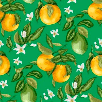 SEamless pattern summer citrus fruit branches of lime and orange tree with fl Stock Illustration