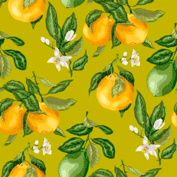 SEamless pattern summer citrus fruit branches of lime and orange tree with fl Stock Illustration