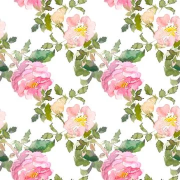 Seamless pattern of summer garden yellow and pink rose flower. Watercolor floral Stock Illustration