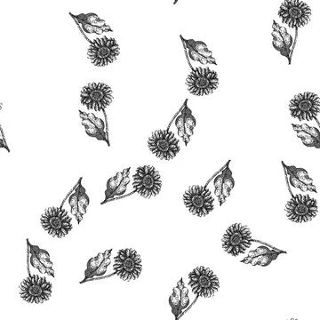 Seamless pattern summer gerbera daisy sketch hand drawn Illustrazione stock