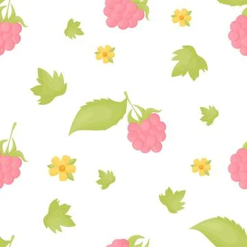 Seamless pattern with summer raspberries with leaves on white background with Stockillustratie