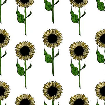 Seamless pattern sunflower flower line art. Black, white and yellow illustration Stock Illustration