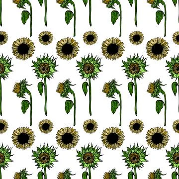 Seamless pattern sunflower flower line art. Black, white and yellow illustration Stock Illustration