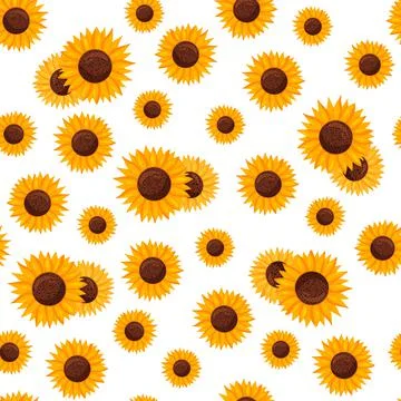 Seamless pattern of sunflower flowers white background. Stock Illustration