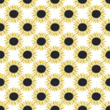 Seamless pattern with sunflower, green leaves and black seeds Illustrazione stock
