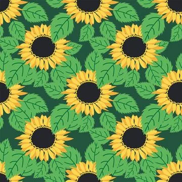Seamless pattern with sunflower, green leaves and black seeds Stock Illustration