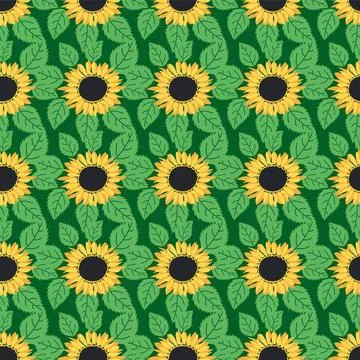 Seamless pattern with sunflower, green leaves and black seeds Stock Illustration