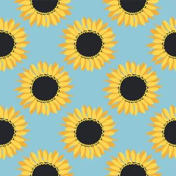 Seamless pattern with sunflower, green leaves and black seeds Stock Illustration