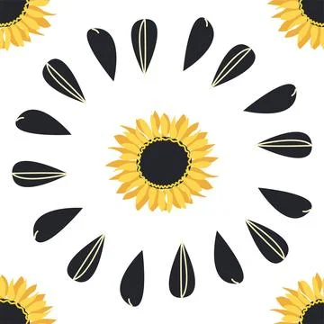 Seamless pattern with sunflower, green leaves and black seeds Stock Illustration
