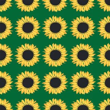 Seamless pattern with sunflower, green leaves and black seeds Illustrazione stock