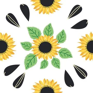 Seamless pattern with sunflower, green leaves and black seeds Stock Illustration