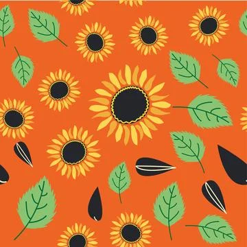 Seamless pattern with sunflower, green leaves and black seeds Stock Illustration