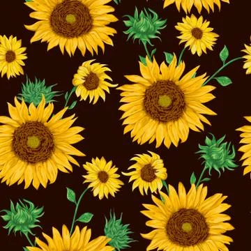 Seamless pattern with sunflowers on black background. Illustrazione stock