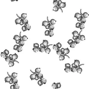 Seamless pattern sweet black currant sketch hand drawn 스톡 일러스트