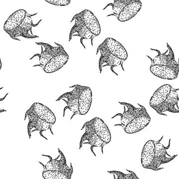 Seamless pattern sweet dragon fruit sketch hand drawn イラスト素材