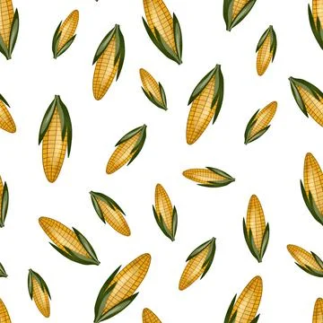 Seamless pattern with sweet golden corn on white background. Natural fresh Stock Illustration