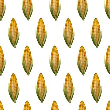 Seamless pattern with sweet golden corn on white background. Natural fresh Stock Illustration
