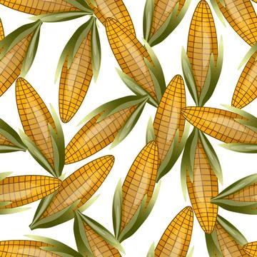 Seamless pattern with sweet golden corn on white background. Natural fresh Stock Illustration