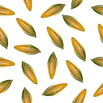 Seamless pattern with sweet golden corn on white background. Natural fresh Stock Illustration
