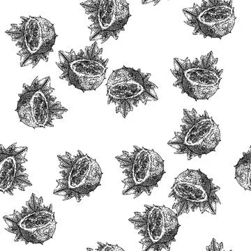 Seamless pattern sweet kiwano sketch hand drawn Illustrazione stock
