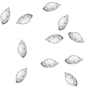 Seamless pattern sweet potato orange sketch hand drawn Stock Illustration