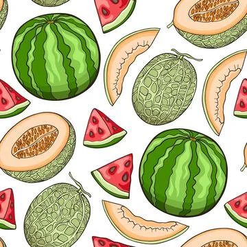 Seamless pattern with sweet watermelon and melon 库存插图