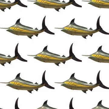 Seamless pattern of sword fish isolated on white background Foto stock