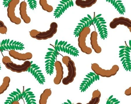 Seamless pattern of tamarind fruit isolated on white background - Vector illustr Stock Illustration