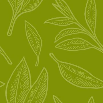 Seamless pattern tea with branch and leaf. Vector vintage engraving 스톡 일러스트
