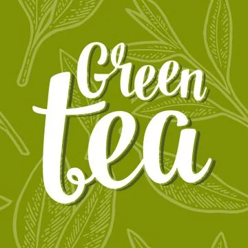 Seamless pattern tea with branch and leaf. Vector vintage engraving Stock Illustration