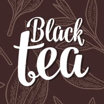 Seamless pattern tea with branch and leaf. Vector vintage engraving Stock Illustration