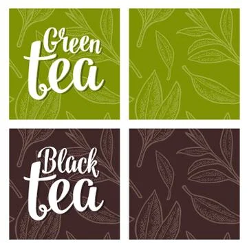 Seamless pattern tea with branch and leaf. Vector vintage engraving Stock Illustration