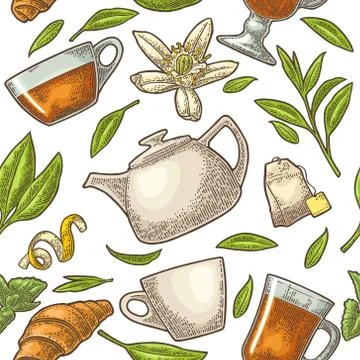 Seamless pattern tea with branch and leaf. Vector vintage engraving 스톡 일러스트