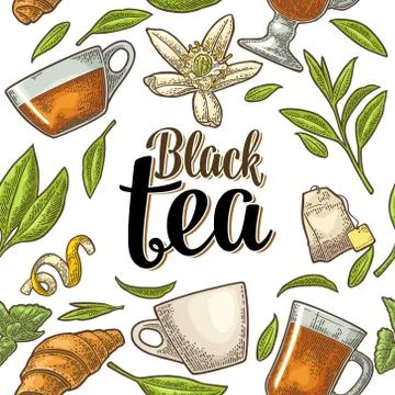 Seamless pattern tea with branch and leaf. Vector vintage engraving Illustrazione stock