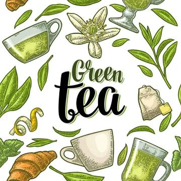 Seamless pattern tea with branch and leaf. Vector vintage engraving Illustrazione stock