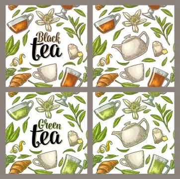 Seamless pattern tea with branch and leaf. Vector vintage engraving 스톡 일러스트